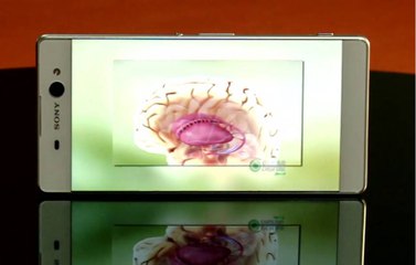 Testamos: Xperia XA Ultra é um celular gigante para quem valoriza selfies