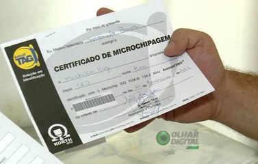 Animais de estimação ganham passaporte digital a partir de microchip