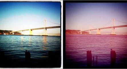 Cansou do Instagram? Conheça essas super alternativas