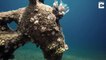 Forget seahorses, this is a sea donkey: Diver stumbles across submerged donkey statue wearing a trilby