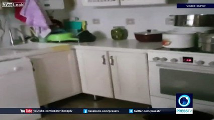 Raccoon finds cupboards bare in Kazakh kitchen!