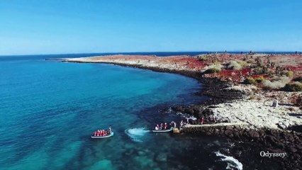 Galapagos Tours -  Happy Gringo