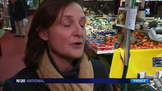 Foie gras : une ferme expérimentale de l'Ariège élève des oies sans les gaver