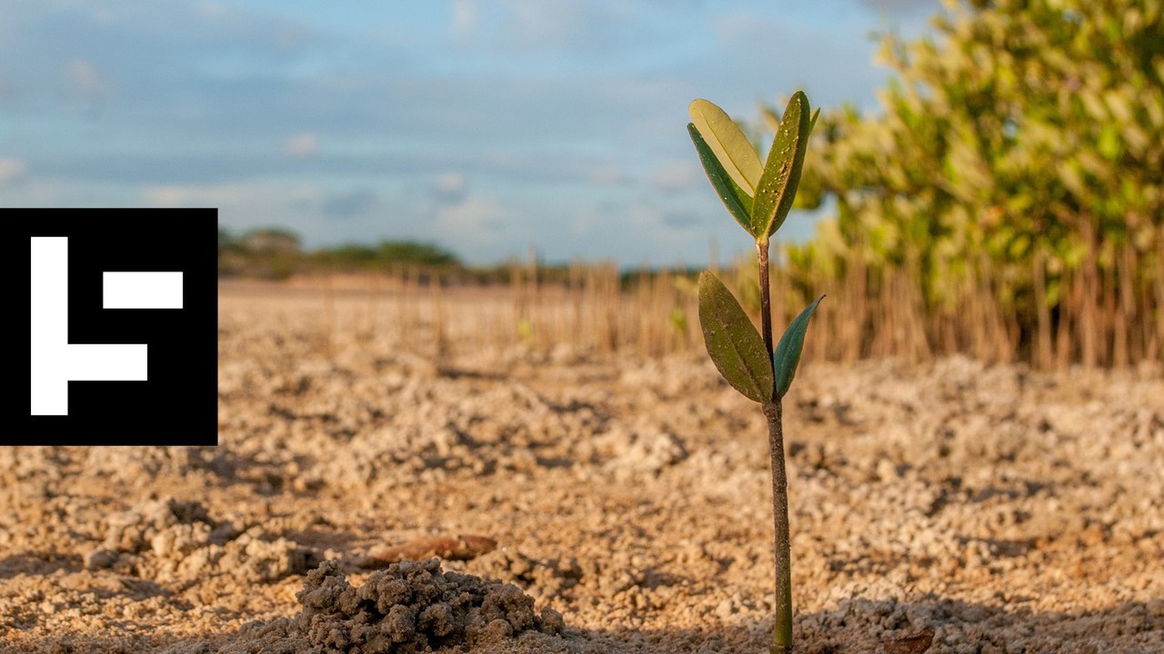 You Won’t Believe What These Guys Did With No Arms or Eyes