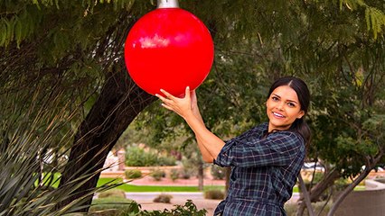 Christmas Ornaments, Only LARGER!