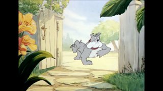 Tom and Jerry, 15 Episode - The Bodyguard (1944)-7ksb_64XWPA