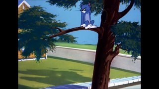 Tom and Jerry, 76 Episode - That's My Pup! (1953)-mw3NF1N1y8I