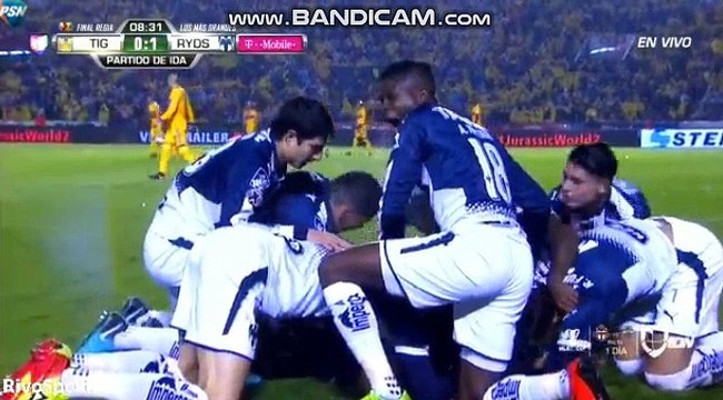 Nicolas Sanchez Goal ~ UANL Tigres vs Monterrey 0-1