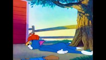 Tom And Jerry English Episodes - The Duck Doctor - Cartoons For Kids-944kgrSEuPM