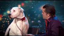 A SINGING DOG Takes on Whitney Houston! _ Got Talent Global-TEiZ4L82oOw