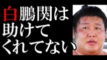 貴ノ岩が明かした●●の実態…「グッディ」の取材に支援者Ａ氏が告白「スマホを触ったのは事実。一方的に殴られた。白鵬関は助けてくれてない。」-LtT8juzsKug