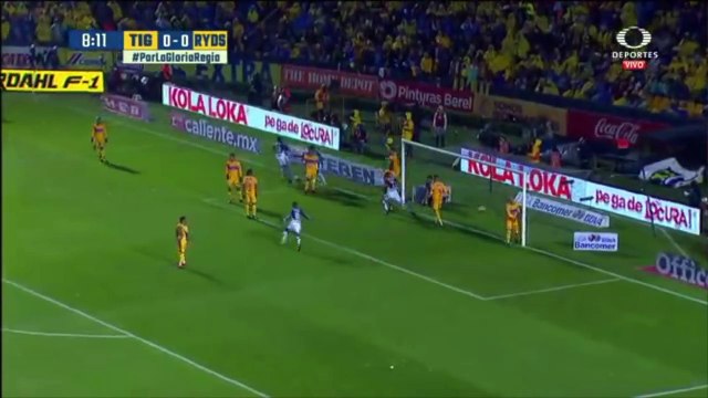 Gol de Nicolás Sánchez - Tigres 0 - 1 Monterrey - 07.12.2017