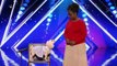 Counting Dog Mia Moore on America's Got Talent 2017 _ Got Talent Global-R04S5A_TEPc