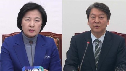 탄핵 가결 1년...민주·국민의당 "개혁 추진" / YTN