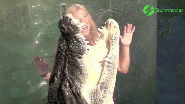 Ca vous dirait de vous baigner avec ce crocodile... Elles l'ont fait