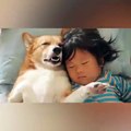 Quoi de plus adorable qu'un enfant et un chien qui font la sieste ensemble... Sommeil profond