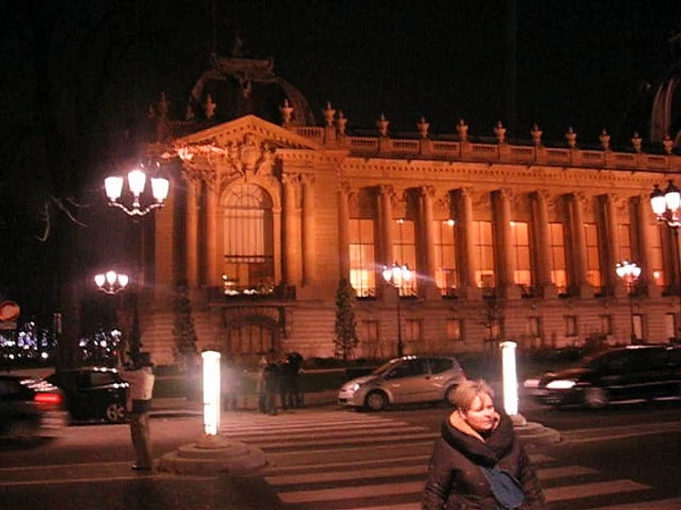 Petit-Palais nuit