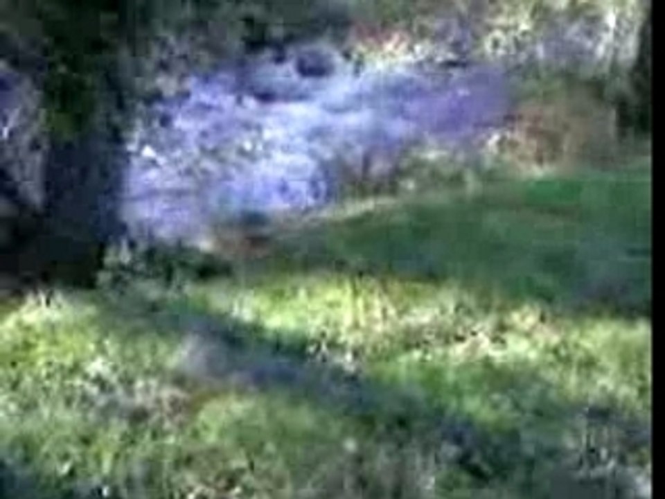 Castillon au bord du Lez