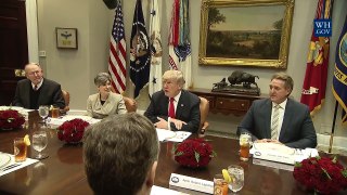 President Trump has Lunch with Republican Members of the Senate