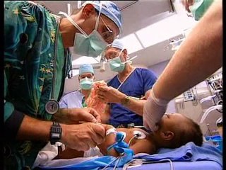 Το μυστήριο του Ανθρωπίνου Εγκεφάλου