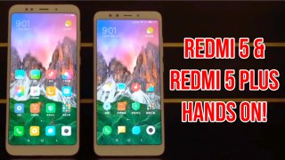 Xiaomi Redmi 5 & 5 Plus - Hands On & Quick Look!