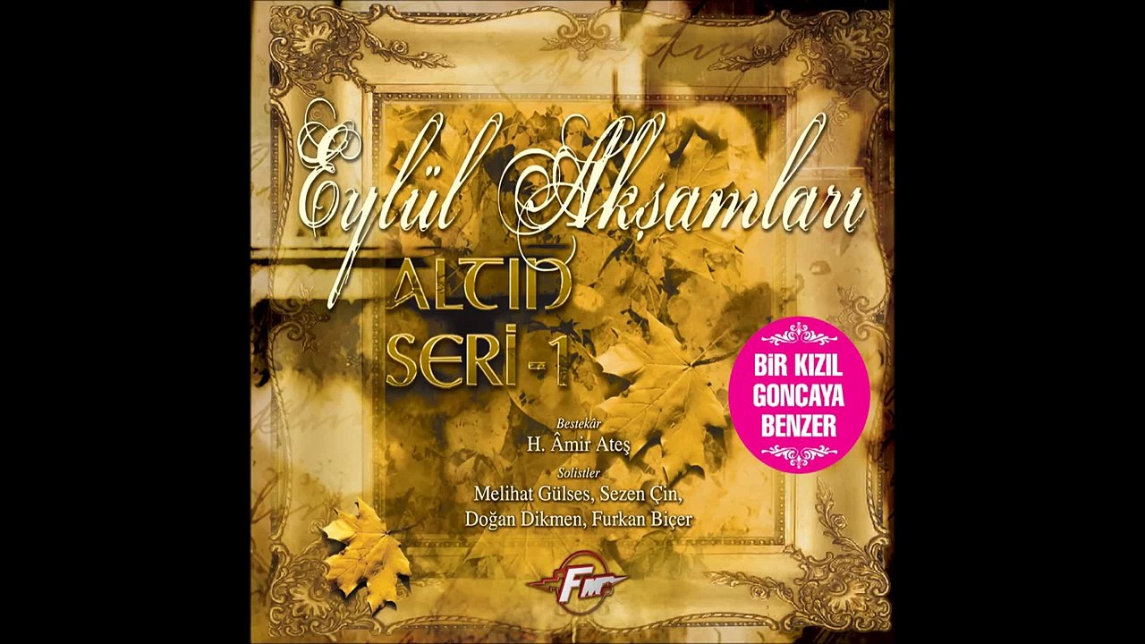 Melihat Gülses - Ben Seni Unutmak İçin Sevmedim