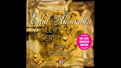 Furkan Biçer - Çamlıca Yolları