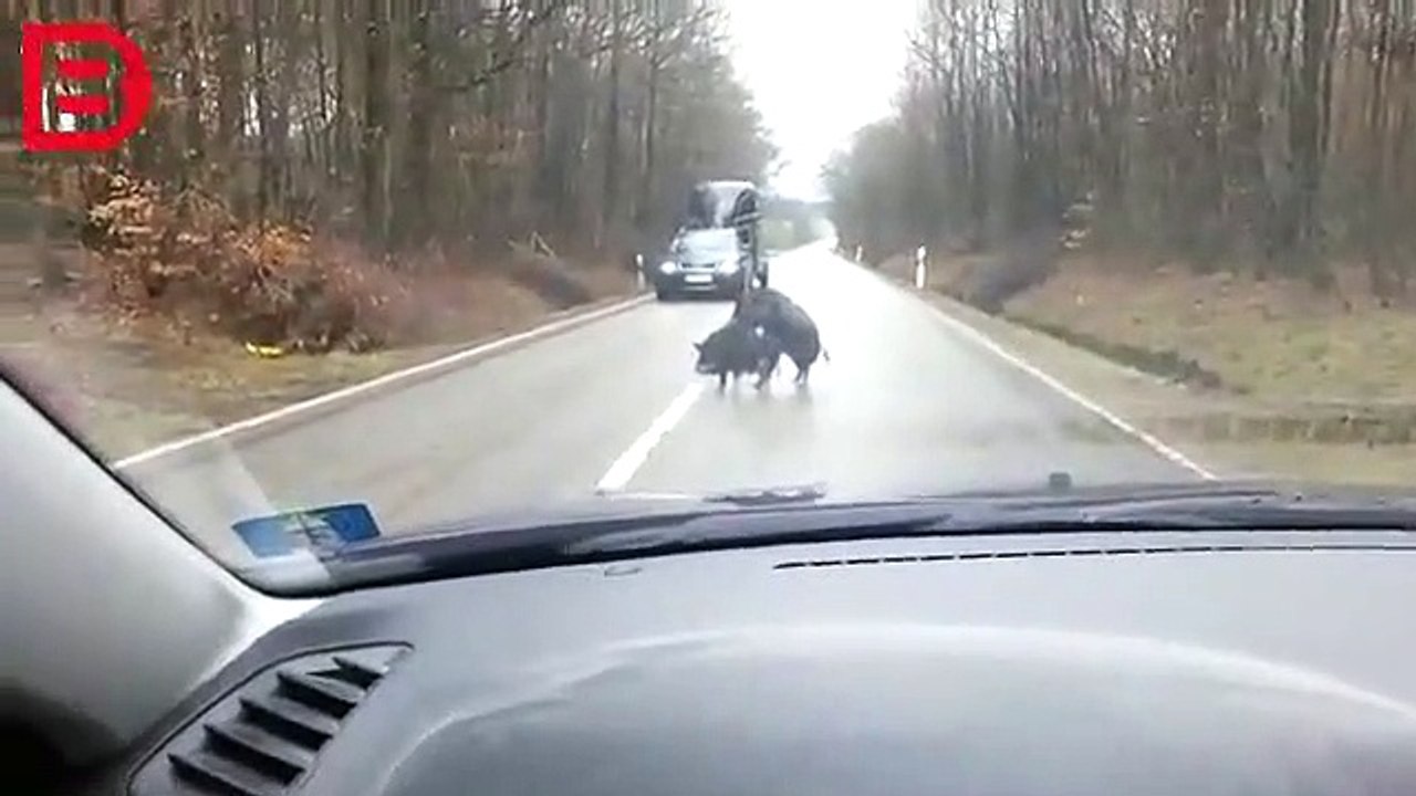 Des automobilistes sont bloqués à cause d’un couple qui se fait plaisir