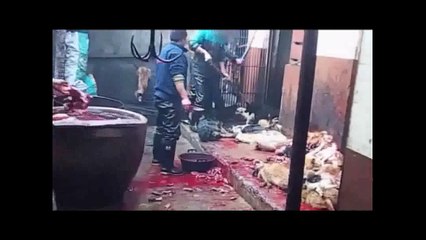MIẾNG ĂN MÁU ĐỔ THỊT RƠI,   GIẾT BAO SINH  MẠNG  NGẬP TRỜI OÁN THAN NAM MÔ  A DI ĐÀ PHẬT