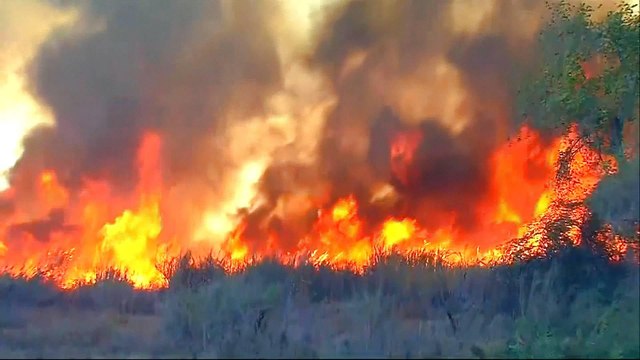 200,000 people evacuated as LA fires rage