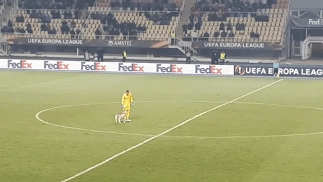 Dog Gets 'Sent Off' After Invading Pitch at European Soccer Clash