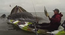 Face à 2 baleines en pleine chasse!