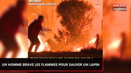 Incendie en Californie : Un homme brave les flammes pour secourir un lapin (Vidéo)