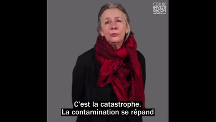 Irak : l’autre affaire du sang contaminé