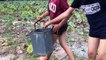 Beautiful Girls Easy Catch Crabs with Digging Hole get a lot of Crabs in Cambodia