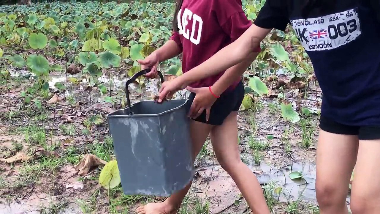 Beautiful Girls Easy Catch Crabs with Digging Hole get a lot of Crabs in Cambodia