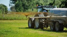 Técnica permite retirar nutrientes do esterco e usá-los na agricultura