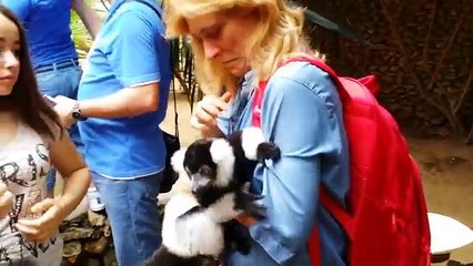 Funny Baby Fails- cute baby videos - funny baby videos Whatsapp Compilation