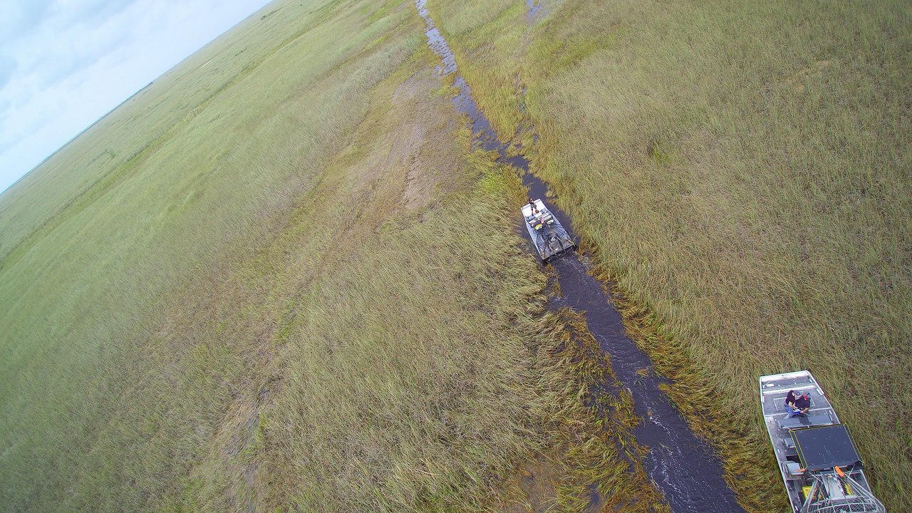 Best airboat tour ever in Miami Florida - Explore the Everglades