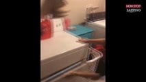 Surpris par sa copine, il cache sa maîtresse dans le lave-linge (Vidéo)