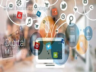 SEO Company Adelaide And In Australia