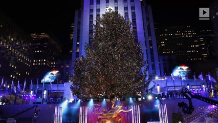 The Most Beautiful Christmas Trees Around The World