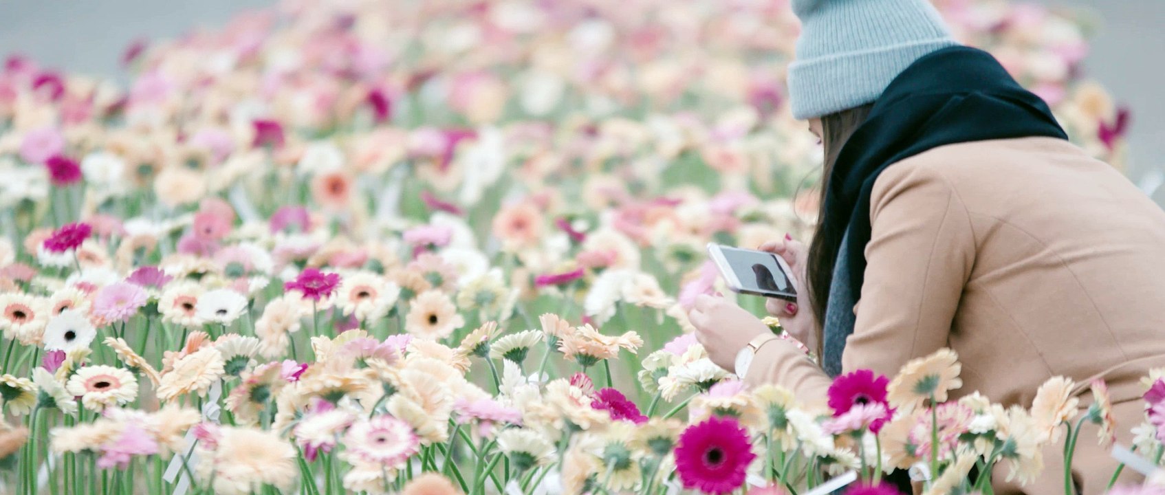 MARIE JO thank you - let's celebrate together