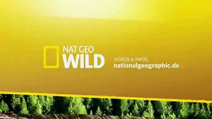 Savage Kingdom - S1E1: Fels der Leoparden