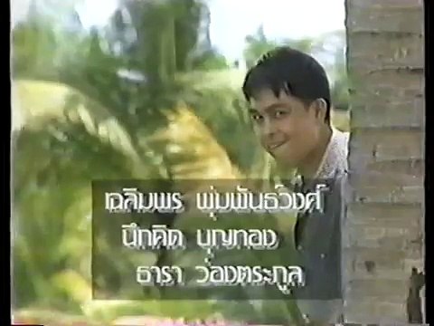 สีวิกา (2536) (Ver.1)