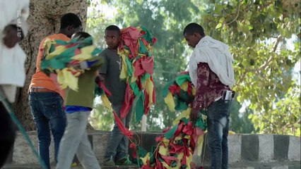 Histoires d'arbres - Les sacrés