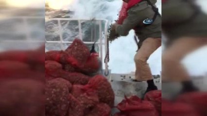 Ayvalık'ta Kaçak Kum Midyesi Avcılarına Göz Açtırılmıyor