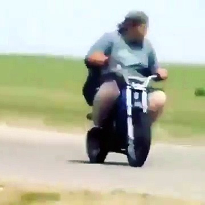 dogs racing with bike