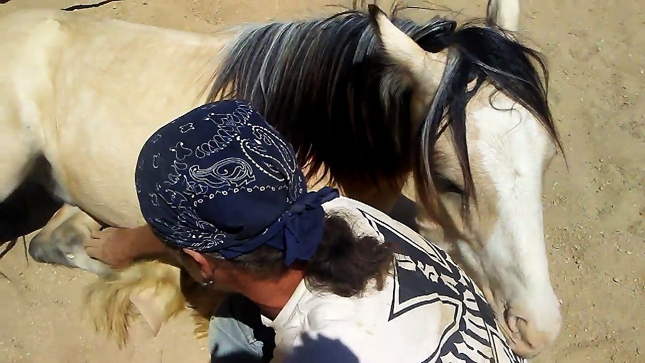 rockinghorse1
