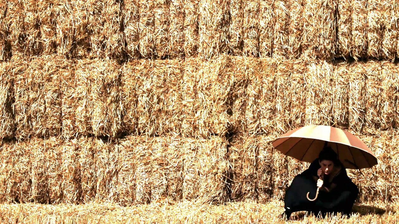 #2-Aventures Chorégraphiques pour Paysages Agricoles